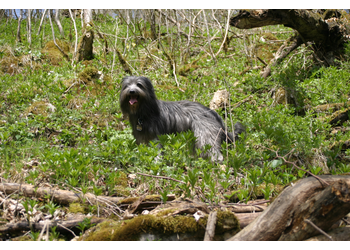 02 Wanderung am 1. Mai